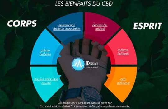 Les effets potentiels des fleurs de CBD : bienfaits et impact sur la santé