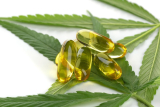 Consommation de fleurs de CBD : méthodes efficaces et légales expliquées