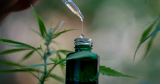 Dangers du CBD : Connaître les risques potentiels et adopter les bonnes pratiques