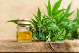 Vente de CBD en France : Qui est autorisé et comment respecter la législation ?